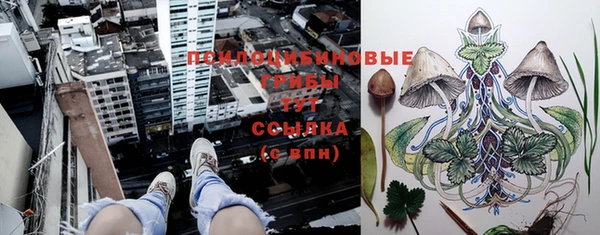 трава Алексеевка